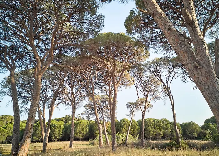 Grecotel Casa Marron Lakopetra