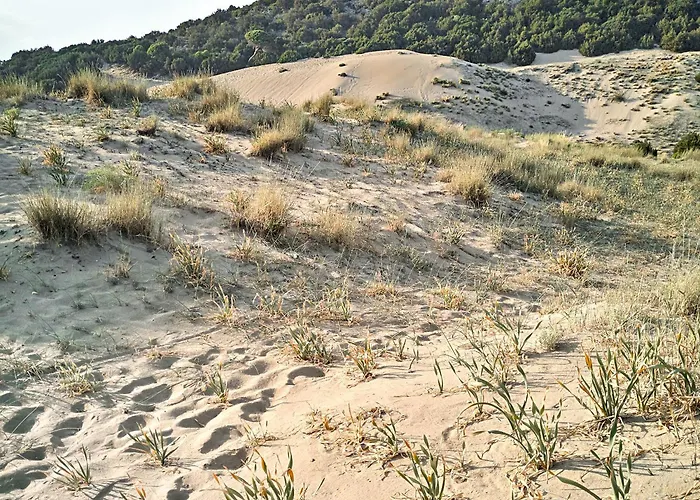 Grecotel Casa Marron 4* Lakopetra